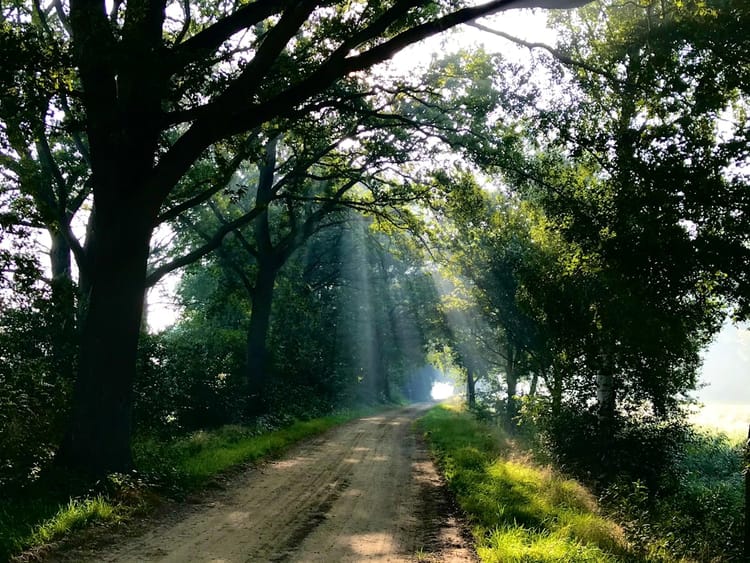 이 감정, 나만 그런 게 아니에요 관련 이미지